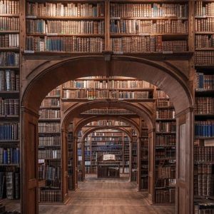 Comparative Epistemology